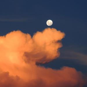 无码人妻丰满熟妇区毛片
