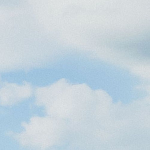 无码人妻丰满熟妇区毛片
