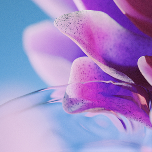 无码人妻丰满熟妇区毛片
