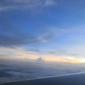 无码人妻丰满熟妇区毛片
