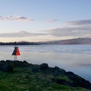 无码人妻丰满熟妇区毛片
